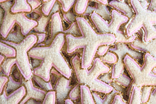 Load image into Gallery viewer, Glitter Airplane Patch
